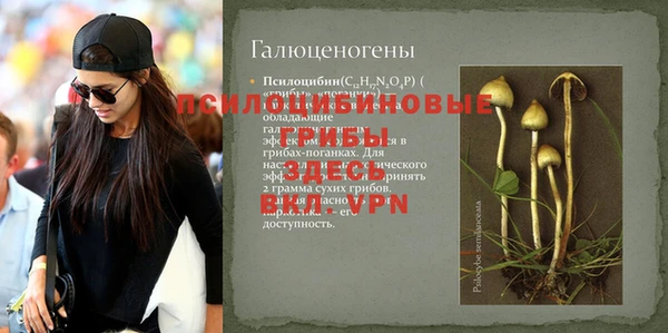 MESCALINE Горняк