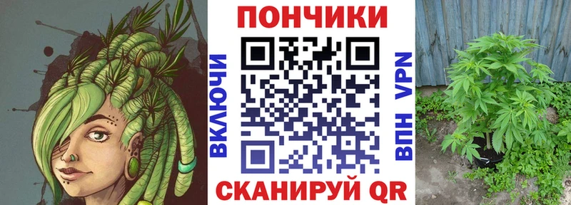 Купить  Шуя  Бошки Шишки OG Kush 
